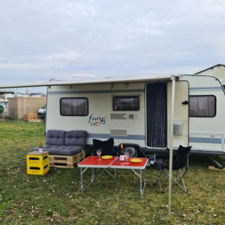 Louise'S Camper Hotel Neusiedl an der Zaya Exterior foto